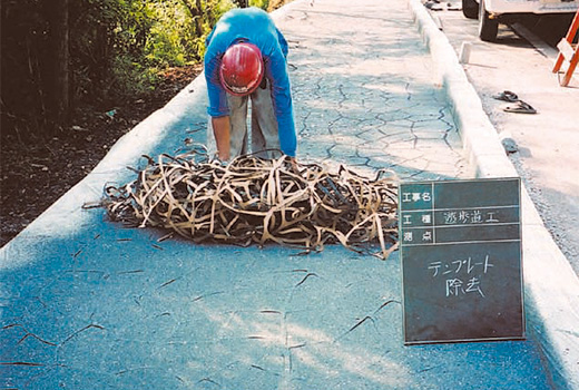 ペーパーテンプレート除去